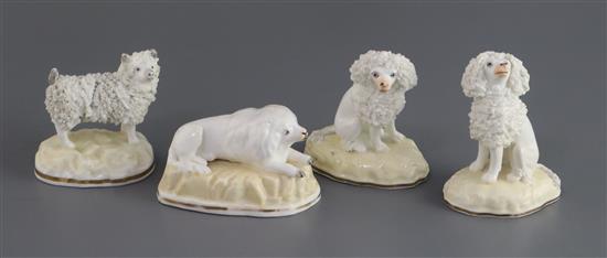 Four Samuel Alcock porcelain figures of poodles, c.1835-50, L. 7.5cm - 9cm